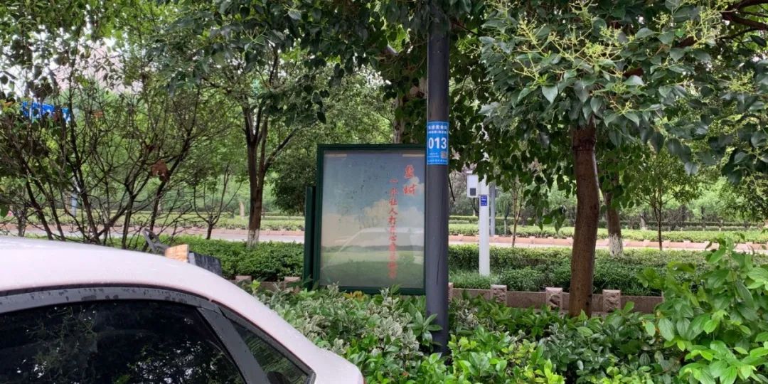 汽车回音壁，探索现代驾驶的声学魅力，现代驾驶的声学探索，汽车回音壁的魅力
