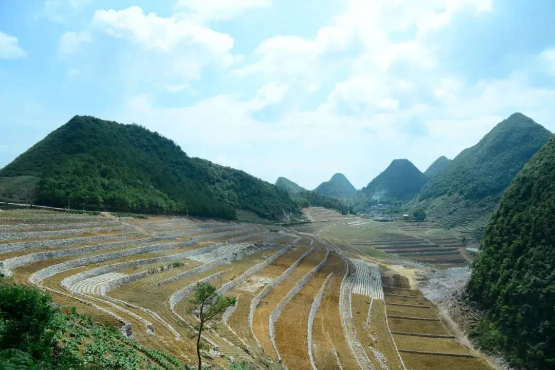 人民日报海外版头版关注云南这个县六子登科降石魔