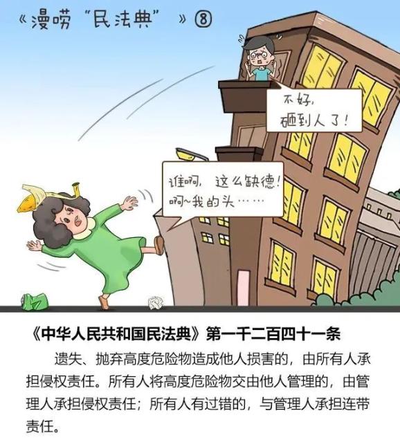 漫唠民法典高空抛物遛狗物业管理离婚