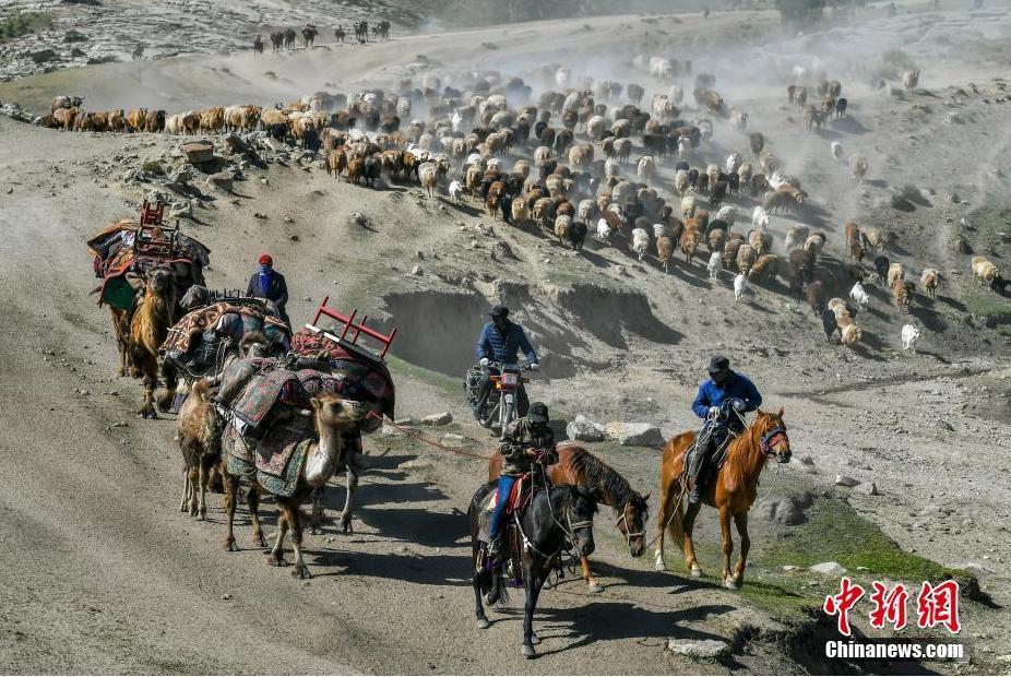 转场更是一种仪式是与大自然和谐共处的奥秘来源/天山网综合原标题