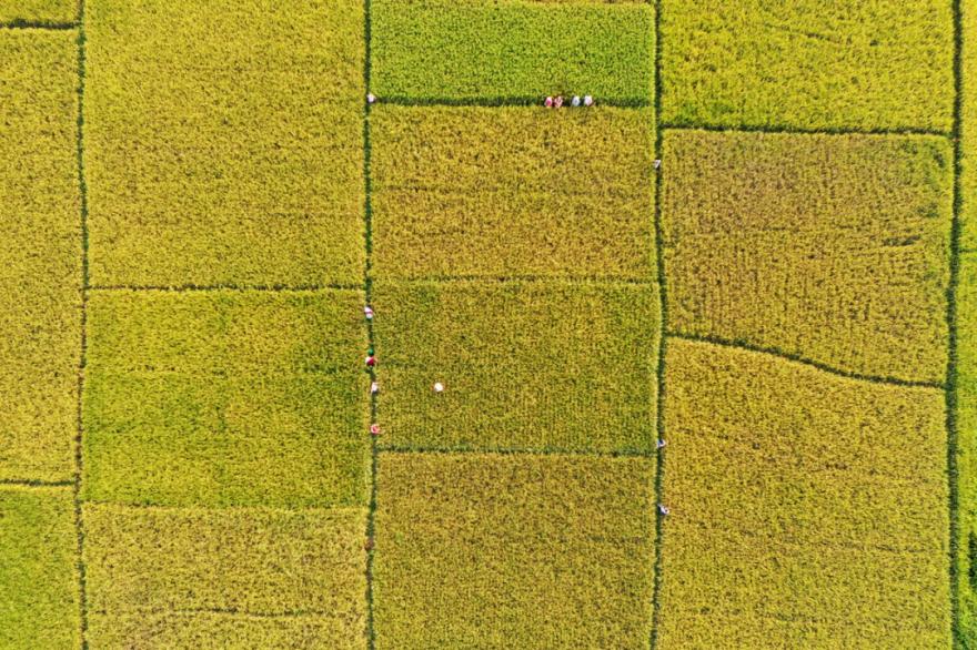 换个角度看肇庆发现不一样的美