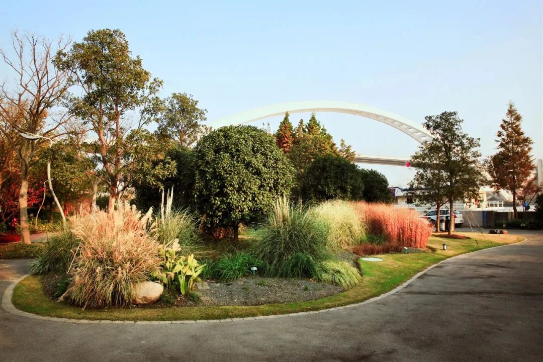 公园云导赏⑥水滴种子蔓延南园滨江绿地公园