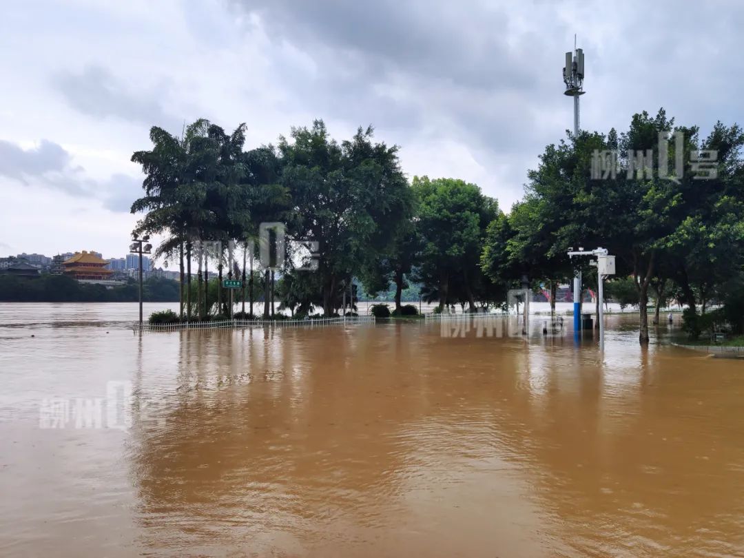 柳州洪水已上河堤,交警出動拖車,今晚還有大暴雨!沒移車的話.