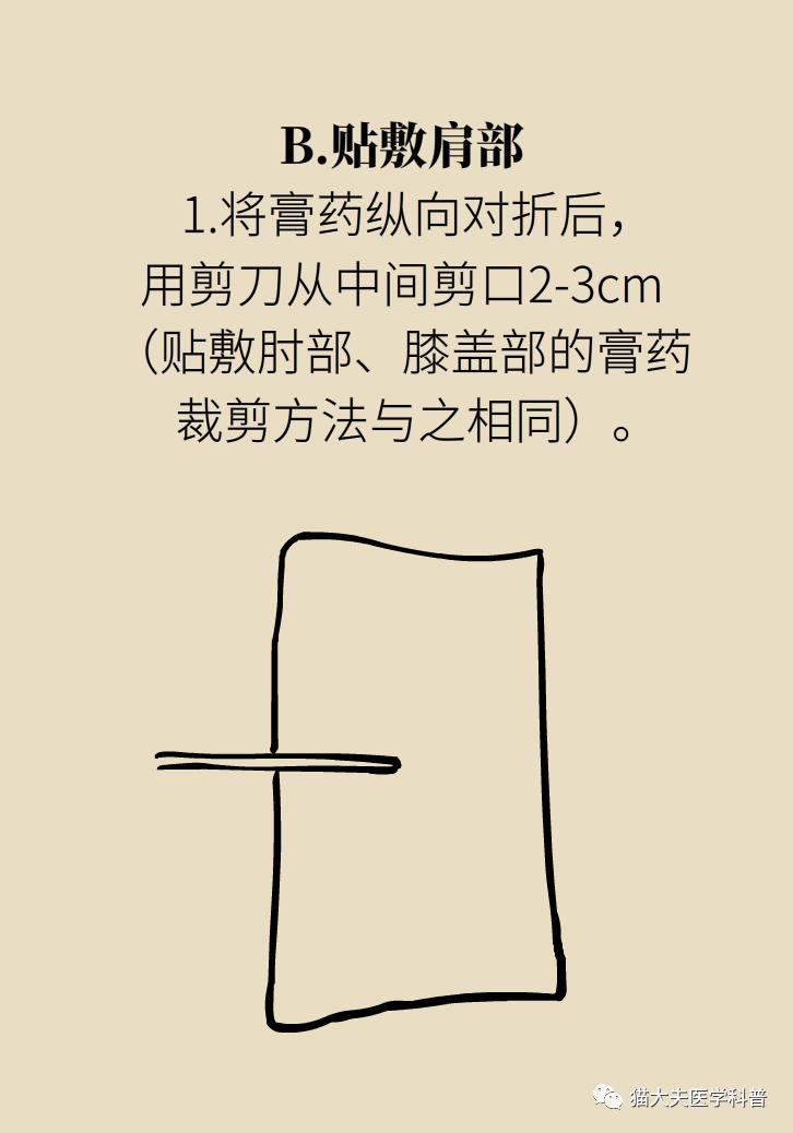246.jpg