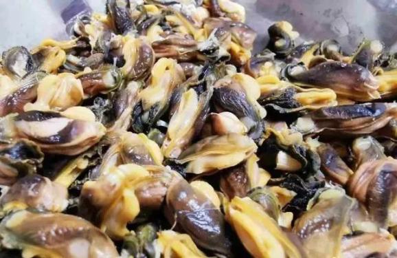 台山石夹螺饭尽显海岛味力