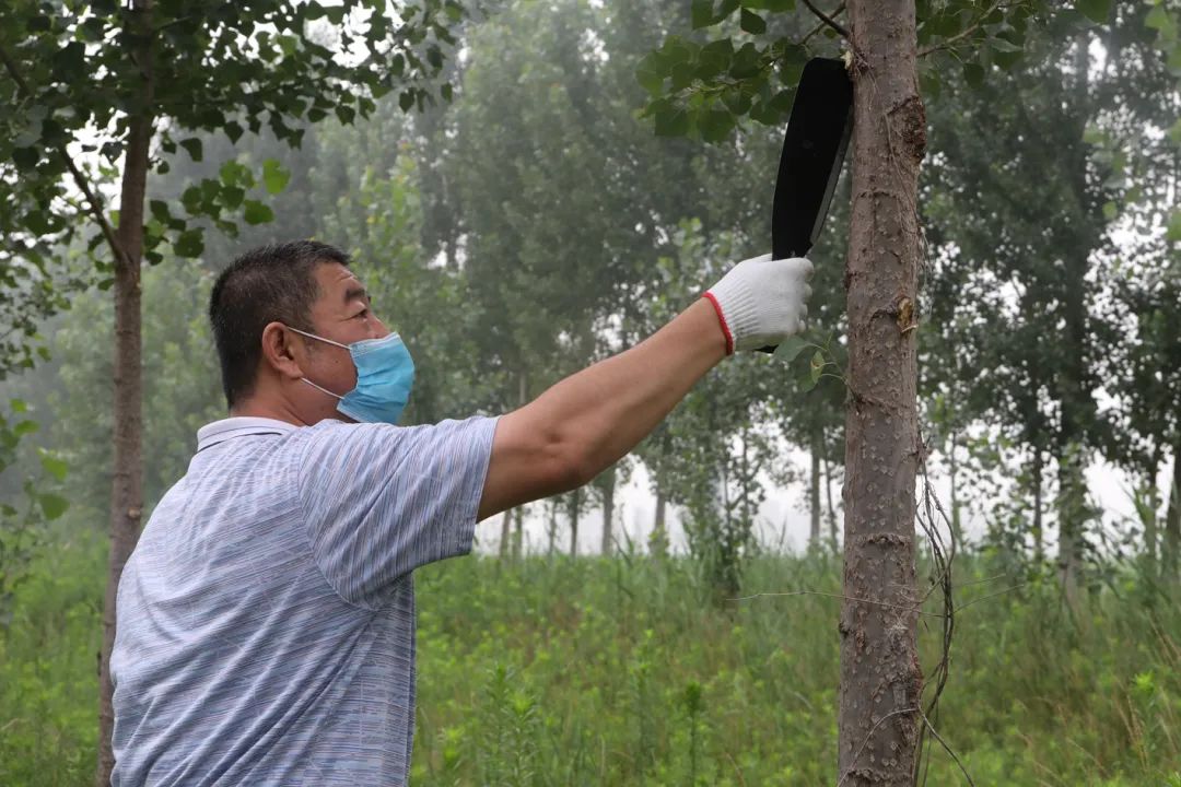 张心勇副监狱长正在修剪树苗09高运展政委割草是个"行家里手"08陈友庆