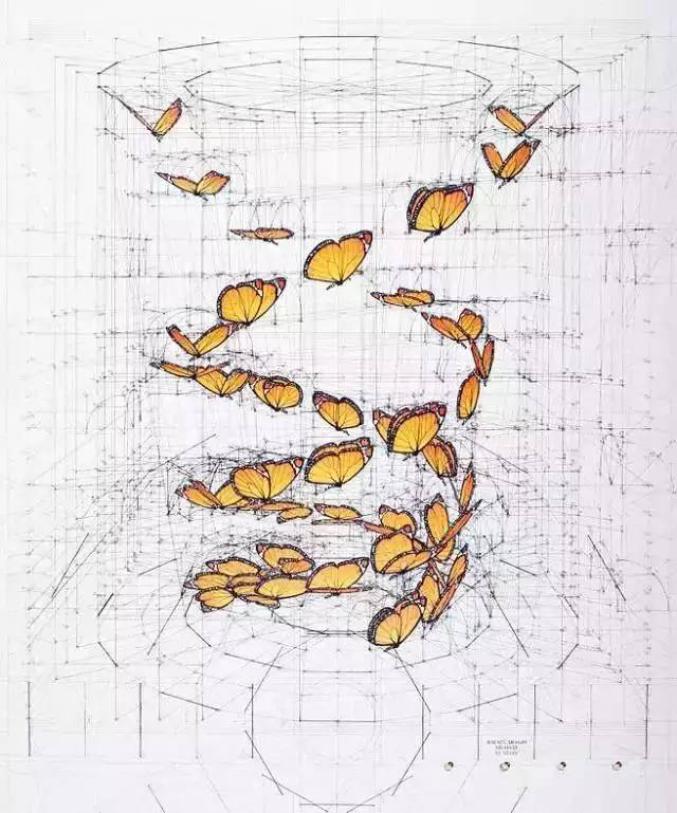 67理工男花40年时间,用圆规画1000张画,网友:太浪漫了_澎湃号·湃客