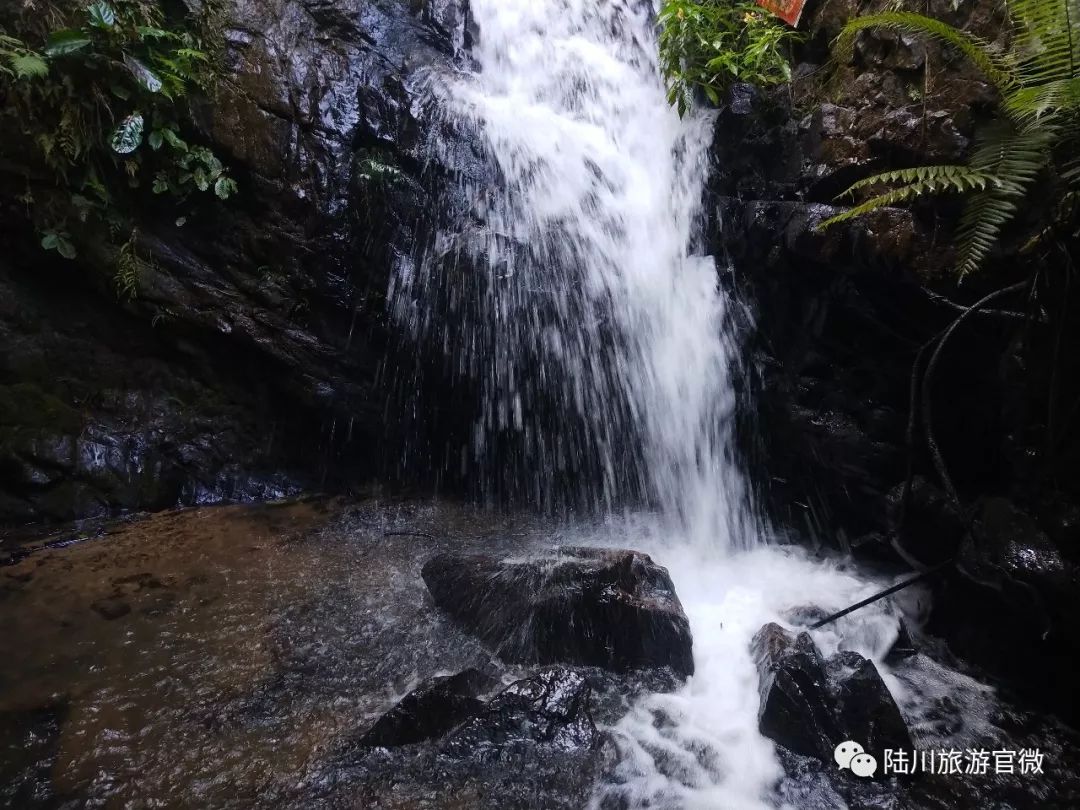 山青水綠玉林將新添一家3a級景區預計10月驗收就在