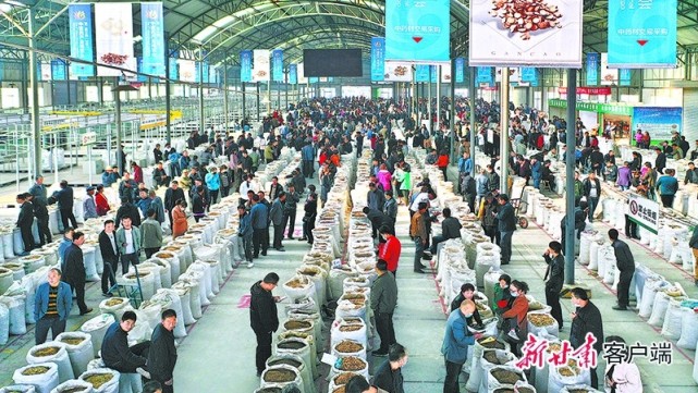 陇西县首阳镇gdp_陇西县首阳镇吴来生(2)