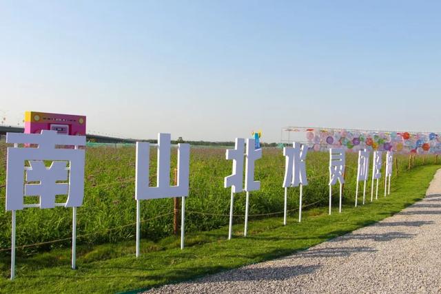 这片花海,真的太美了!