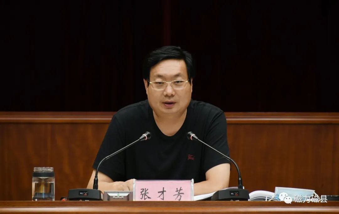 坚持规划引领推动高质量发展张才芳在听取全县国土空间总体规划编制