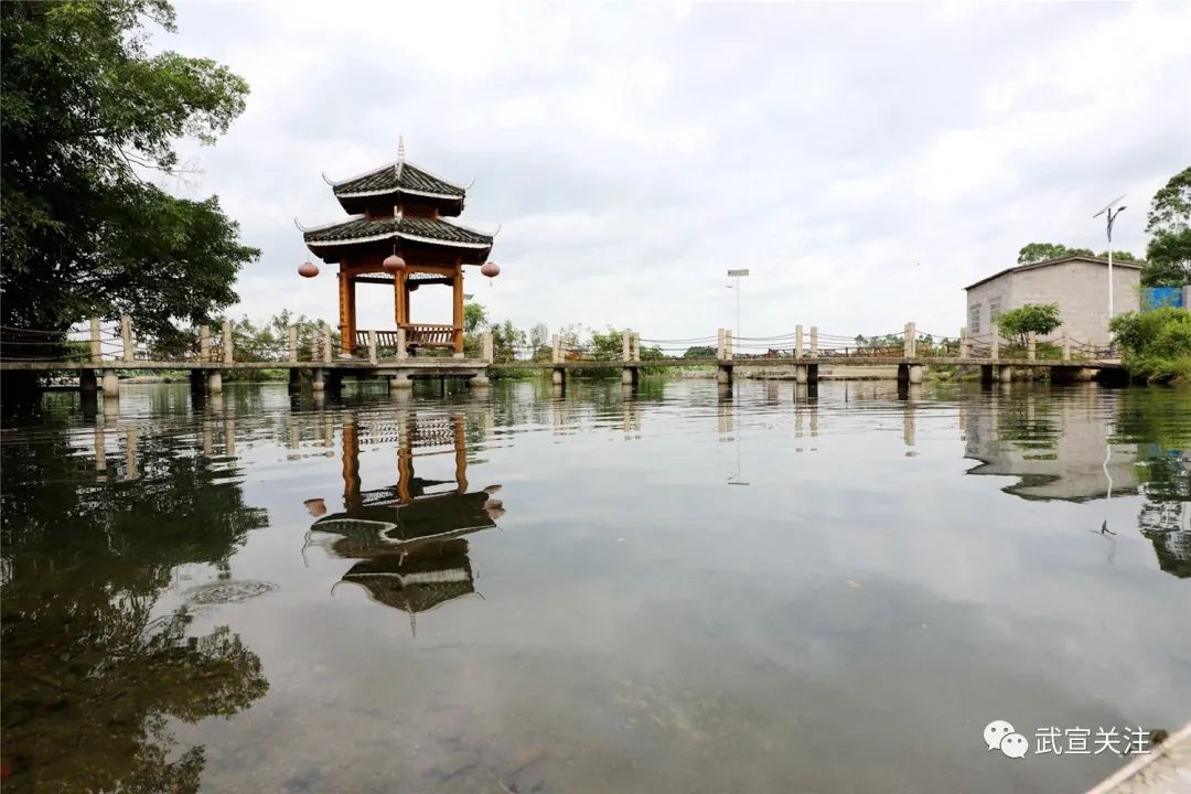 黄茆灵口武宣乡村风貌样板田名不虚传