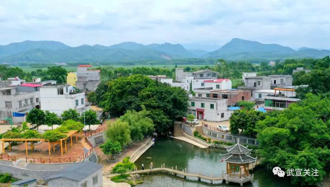 今年以来,黄茆镇继续推进灵口屯乡村风貌提升建设,重点打造太空莲产业