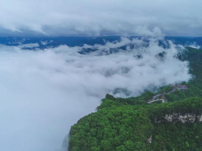 雲臺山再發重要公告全國教師學生免門票