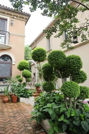 满院棒棒糖徐州这座藏在南区的甜蜜花园让人看了就不想走