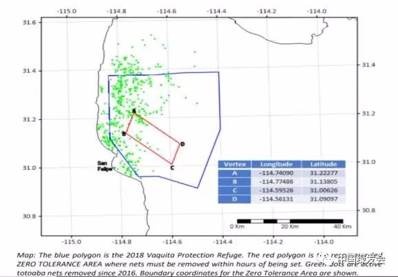 图7：官方规定的加州湾鱼类捕捞范围及时限，与鼠海豚栖息地有大面积重叠 来源/ CIRVA
