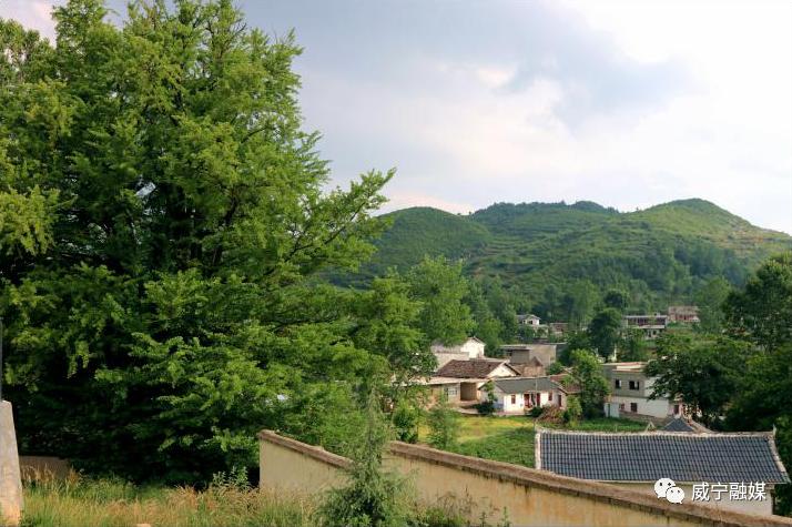 行摄乡镇丨源远流长 生态盐仓_澎湃号·媒体_澎湃新闻-the paper