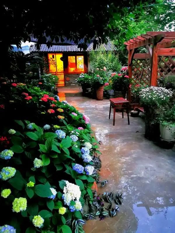 省级最美庭院这就是我们向往的家的样子