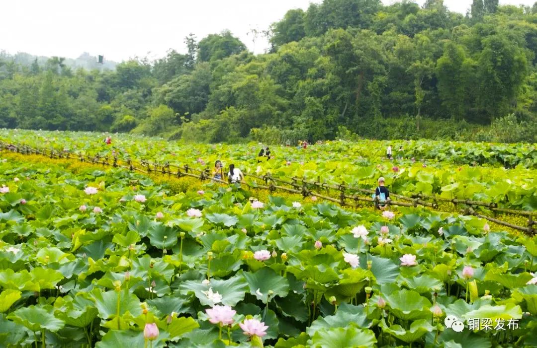 铜梁西郭水库图片