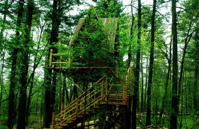 打卡"白山之夏"十大网红地标_澎湃号·政务_澎湃新闻-the paper