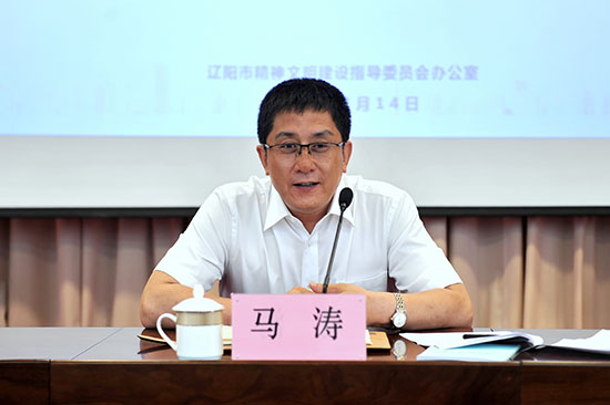 市委副书记马涛出席会议,市委常委,宣传