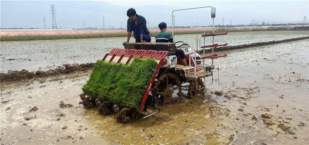 坐等丰收!原来我州农业也可以这样干