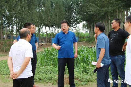 闫向阳就全县防汛,安全生产和"六稳""六保"等工作进行实地调研