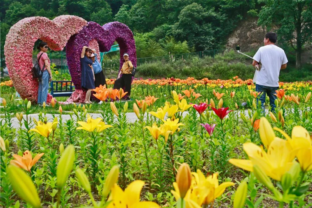 美美广元这些花儿太美了