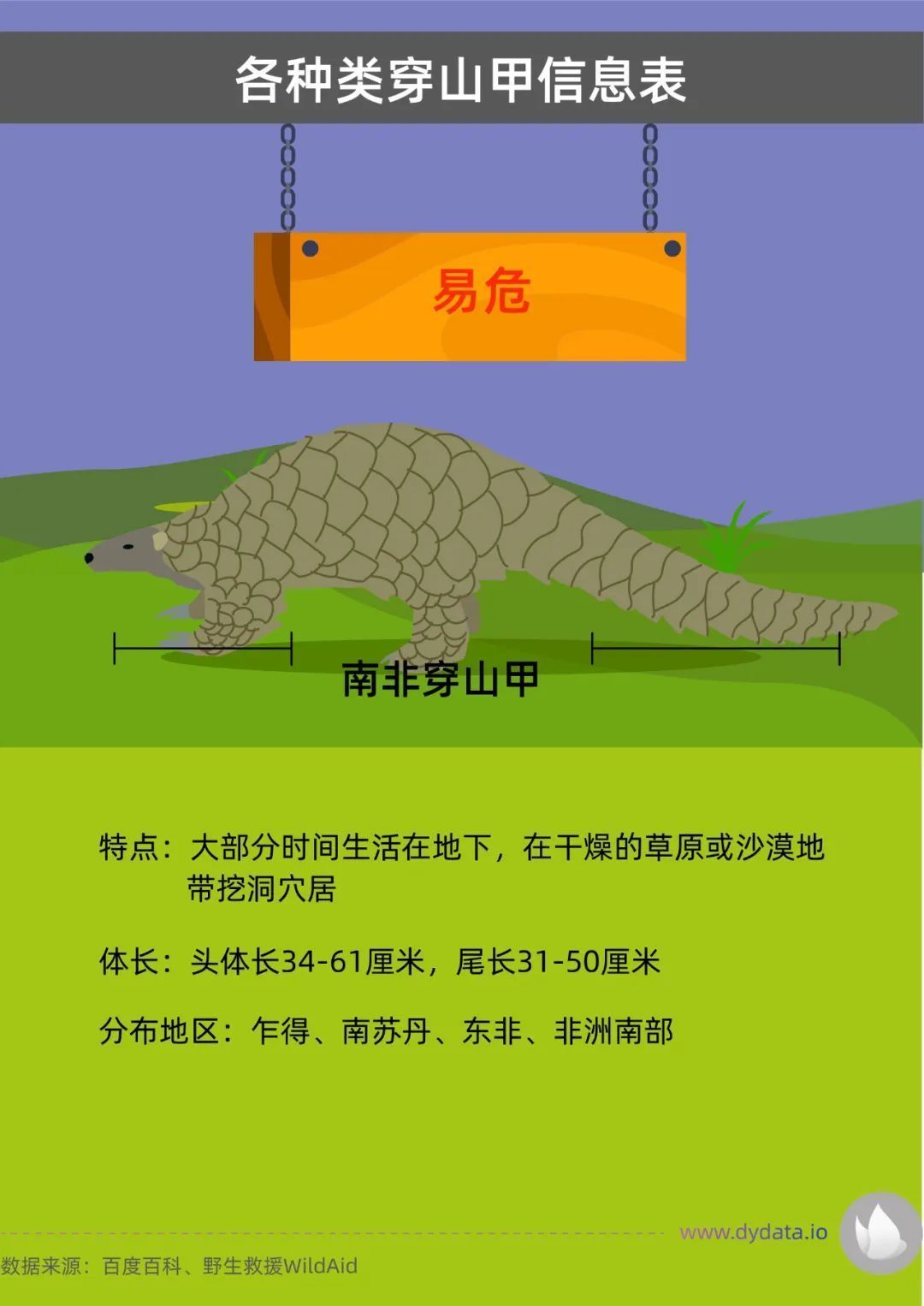 五年查获穿山甲鳞片增十倍，交易价格暴涨
