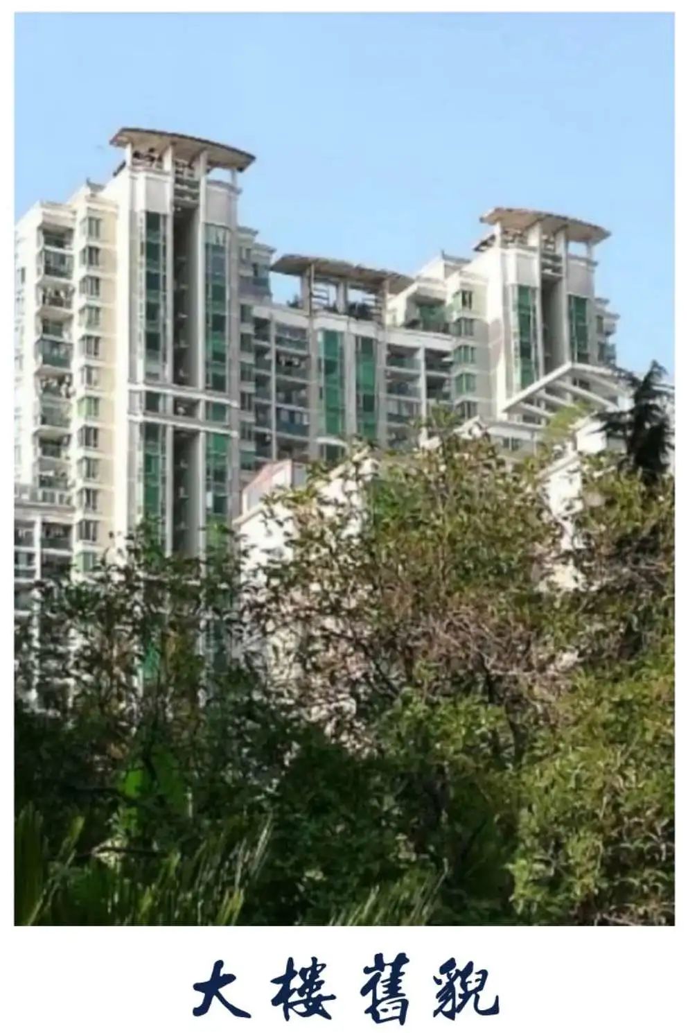 37层高楼装饰飘架摇摇欲坠漕河泾社区排除万难解决空中隐患