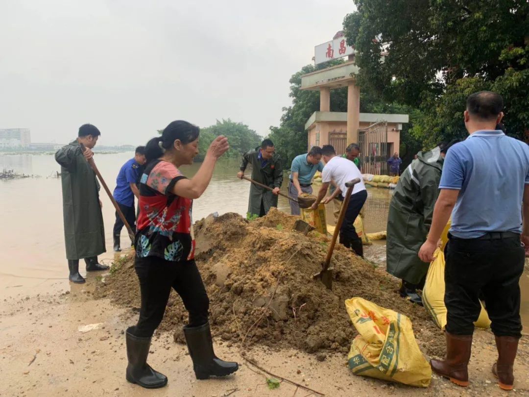 南昌县圩堤上的娘子军用坚守保护家园