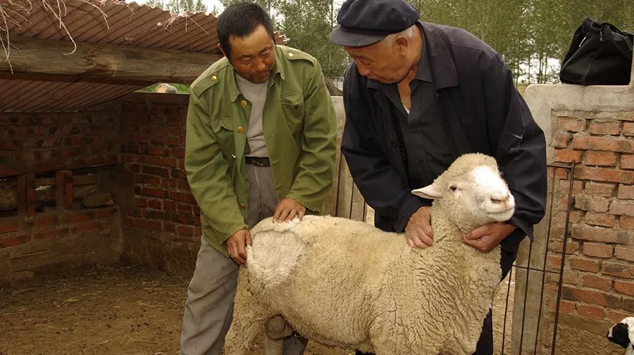 老黄牛精神典型人物图片