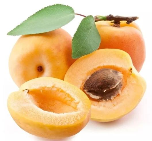 全域旅游杏香飘满城最是乡村美这个周末我们踏上乡村杏福之旅