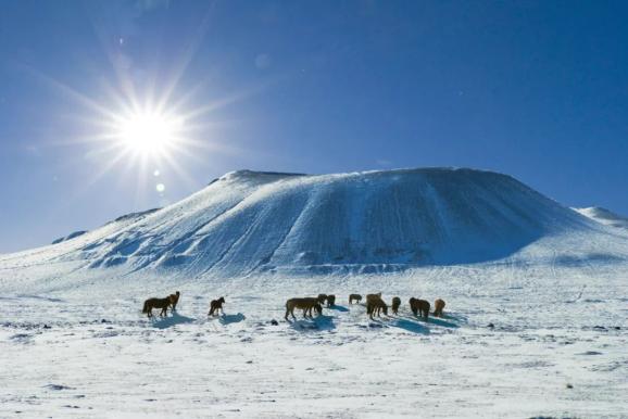 醉美家乡最美的季节我在乌兰哈达火山等你