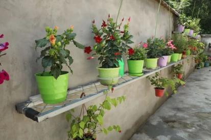 垃圾分类源头管控大石窝镇美丽庭院废旧物利用大比拼