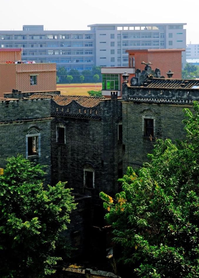 蝶变花都洛场村红色基因扮靓美丽乡村