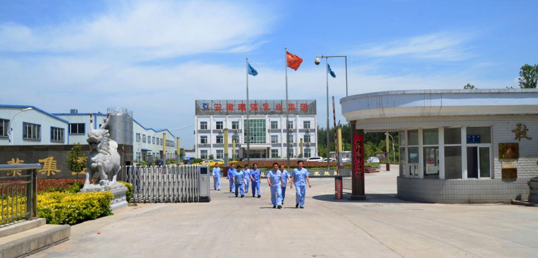 淮北网站建设企业排名(淮北网站建设企业排名榜)