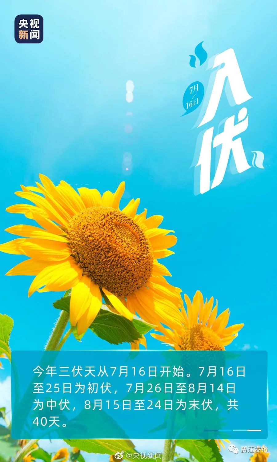 今天入伏,这些禁忌不要犯!