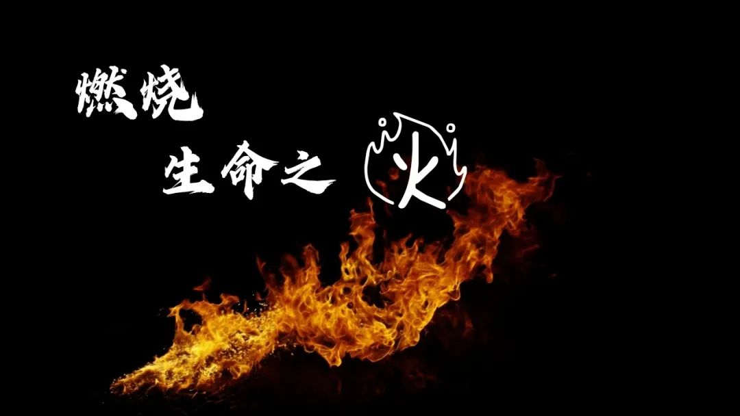 警事日记燃烧生命之火护卫平安稳定