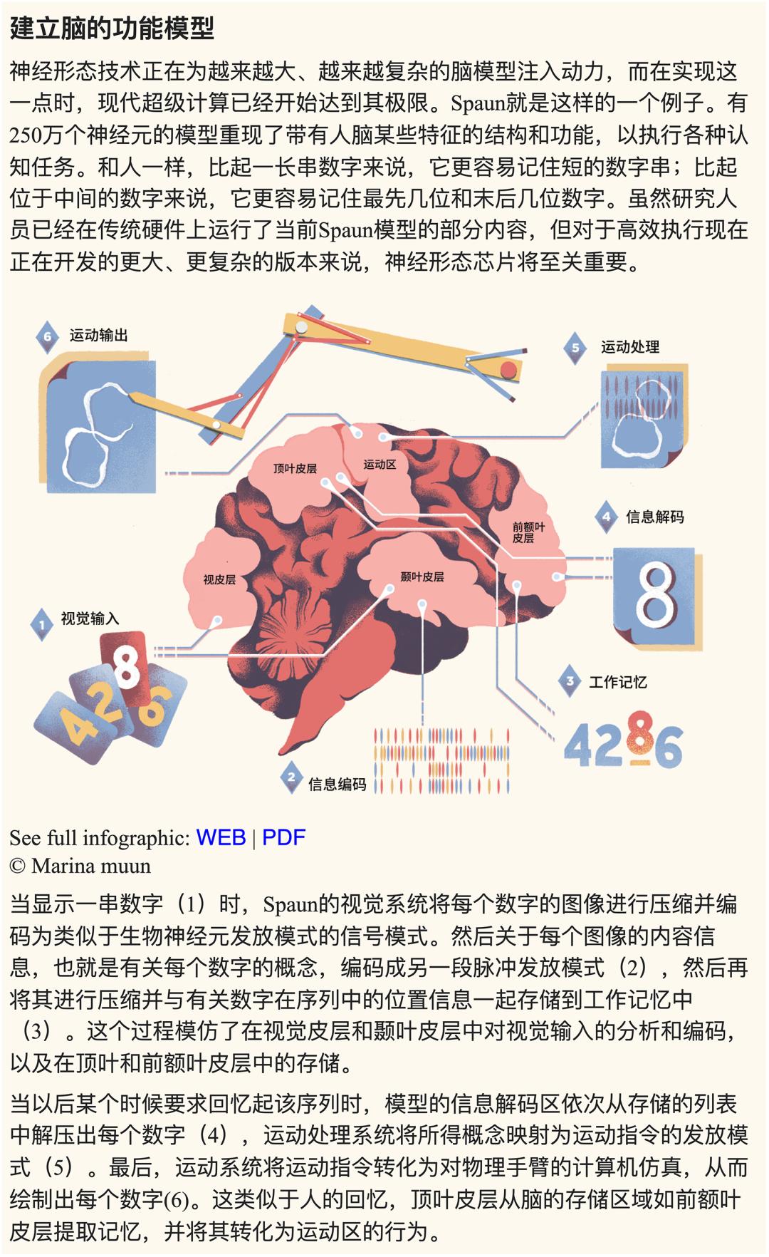 都得益于作为人脑计划的理论,实验和计算神经科学家大家庭的一分子
