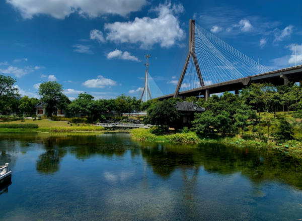 海珠城央最美湿地:打造生态文明建设典范
