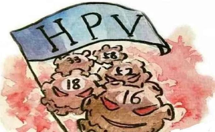 HPV感染人体，可分为这两个不同的通路