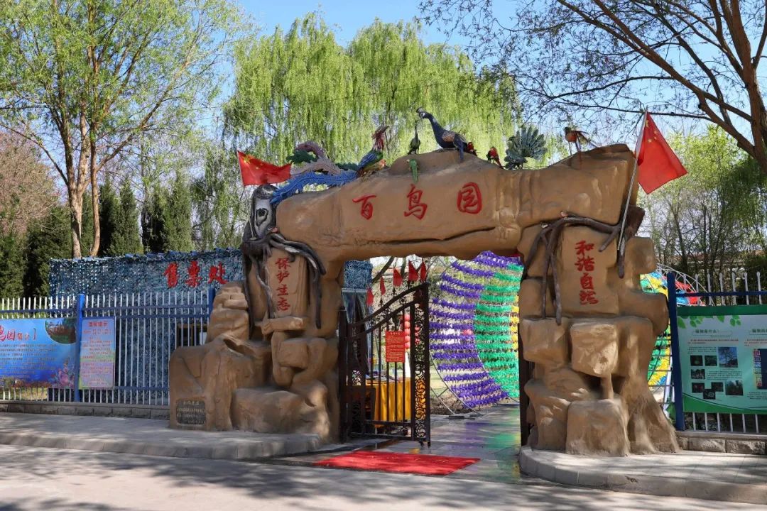 退役军人福利百鸟园可以免费参观啦