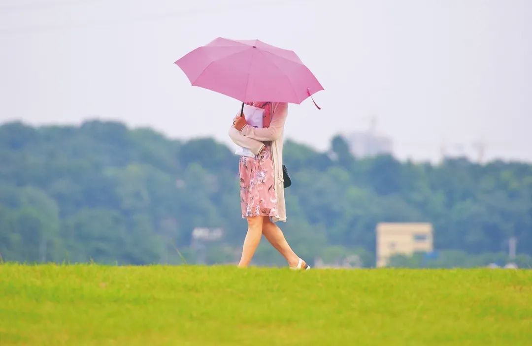 明天到下周一，株洲最高气温31℃左右，周日有雷阵雨 澎湃号·媒体 澎湃新闻 The Paper