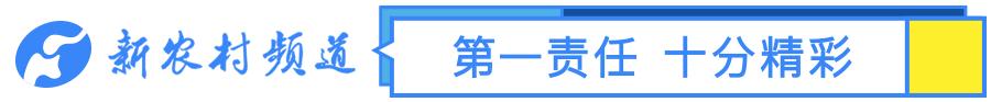 2020年重点强农惠农政策发布！补贴、补助你能领多少？