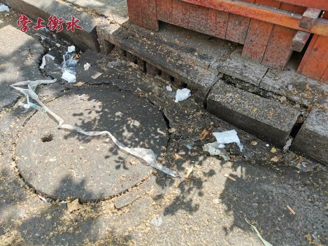 关注脏臭滑街边下水道怎能当泔水桶