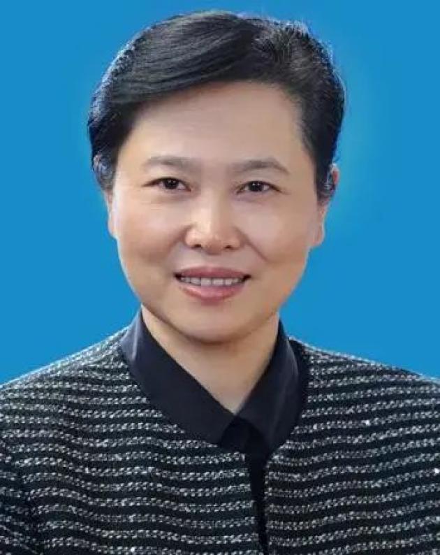 曾在濮阳任职的她履新出任湖北省委政法委书记