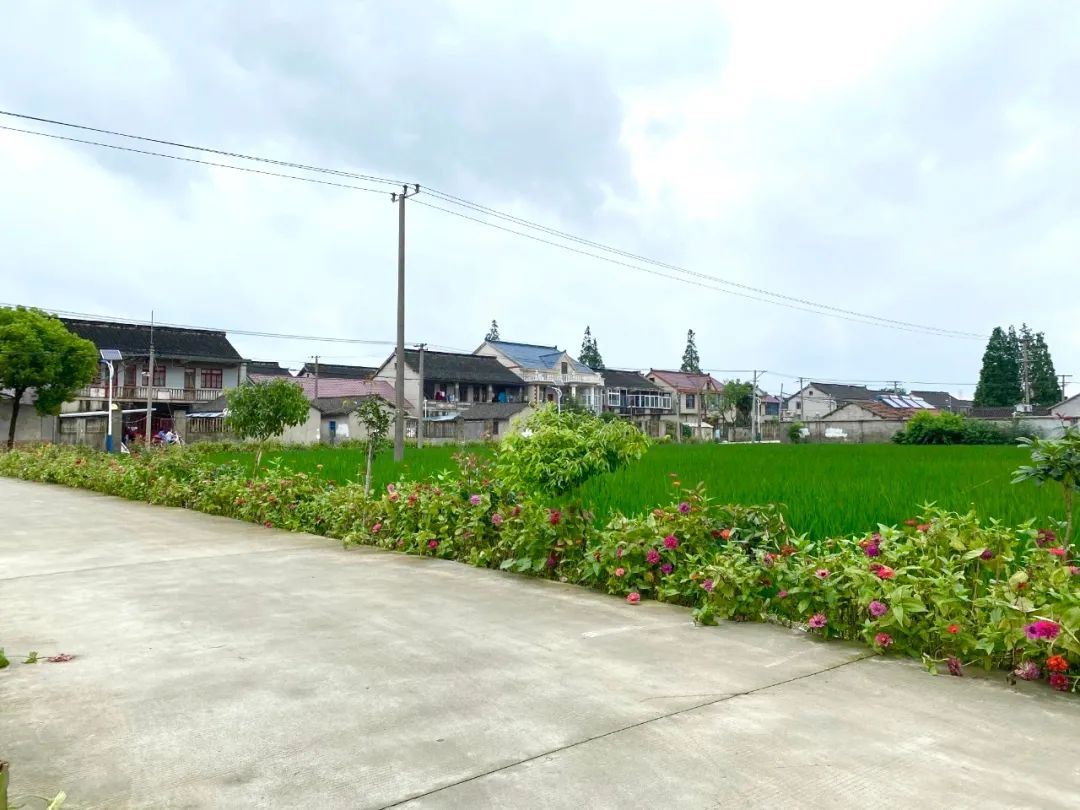 这个村正在旧貌换新颜