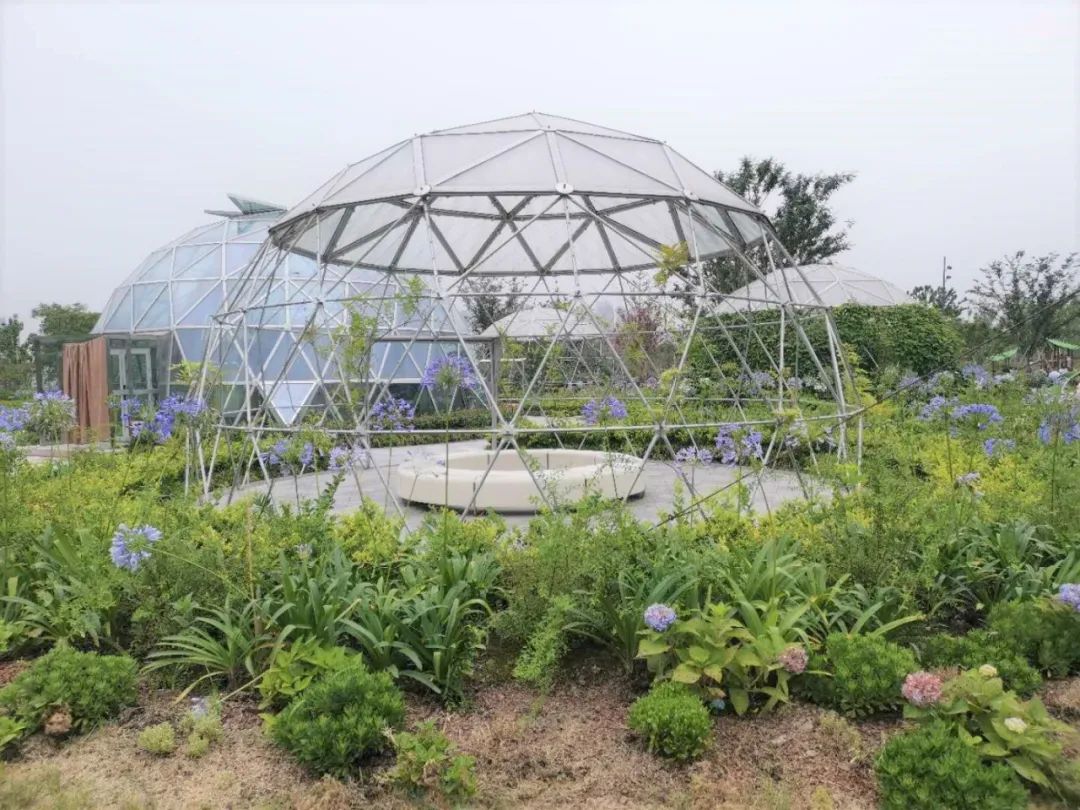 活動地點: 上海之魚泡泡公園泡泡屋內 (奉賢區秀竹路,上海之魚南)