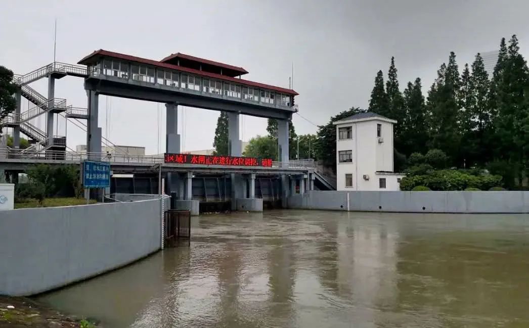 區動態太湖流域防洪告急浦東水閘納潮洩洪